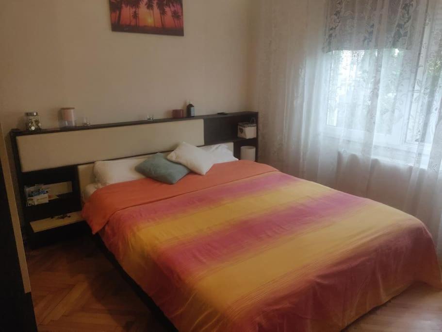 Home Sweet Home -Central & Cozy Iernut المظهر الخارجي الصورة